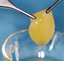 Clinical use of PRGF material to enhance and accelerate healing