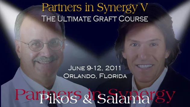 Partners in Synergy V course flyer image