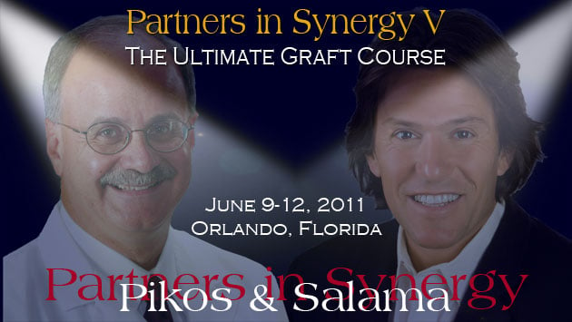 Partners in Synergy V course flyer image